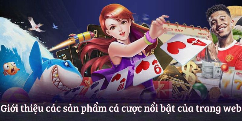 Giới thiệu các sản phẩm cá cược nổi bật của trang web